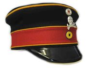 Braunschweigisches Husaren-Regt. Nr.17 Cap