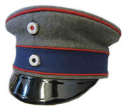 Imperial German Medical Officers Field Grey Cap